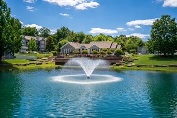 Idyllic Pond & Flowing Fountain